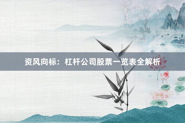 资风向标：杠杆公司股票一览表全解析