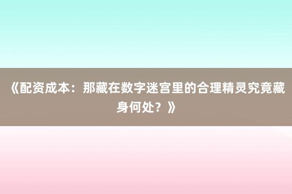 《配资成本：那藏在数字迷宫里的合理精灵究竟藏身何处？》