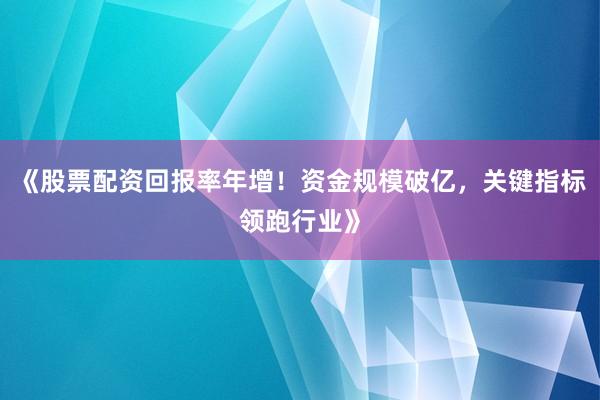 《股票配资回报率年增！资金规模破亿，关键指标领跑行业》
