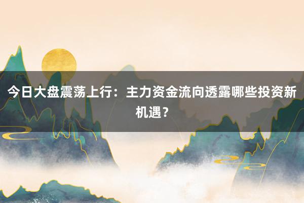 今日大盘震荡上行：主力资金流向透露哪些投资新机遇？