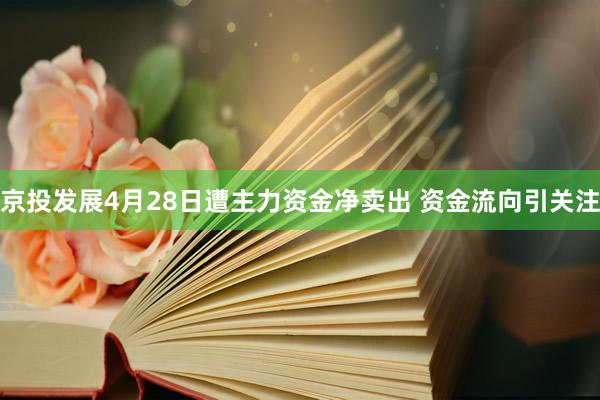 京投发展4月28日遭主力资金净卖出 资金流向引关注