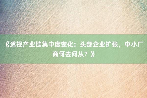 《透视产业链集中度变化：头部企业扩张，中小厂商何去何从？》