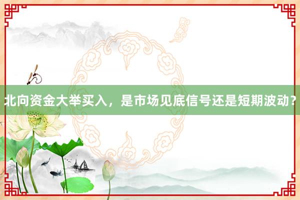 北向资金大举买入,是市场见底信号还是短期波动?