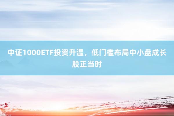 中证1000ETF投资升温，低门槛布局中小盘成长股正当时