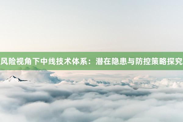 风险视角下中线技术体系：潜在隐患与防控策略探究