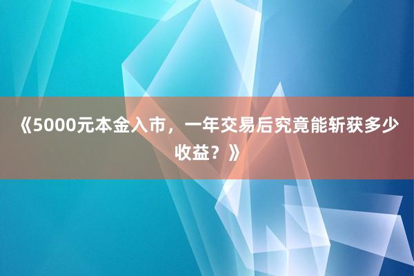 《5000元本金入市,一年交易后究竟能斩获多少收益?》