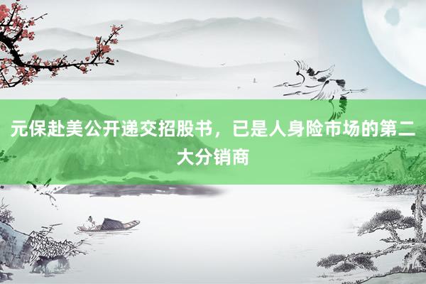 元保赴美公开递交招股书，已是人身险市场的第二大分销商