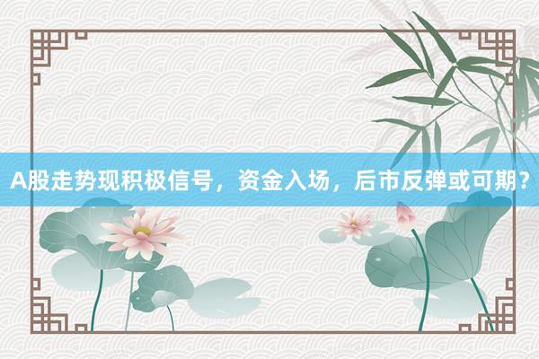 A股走势现积极信号，资金入场，后市反弹或可期？