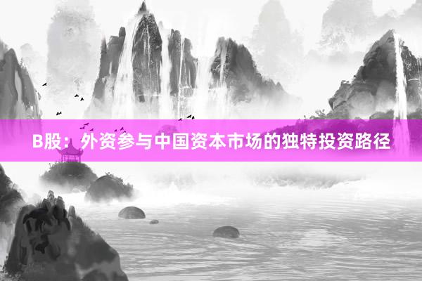 B股：外资参与中国资本市场的独特投资路径