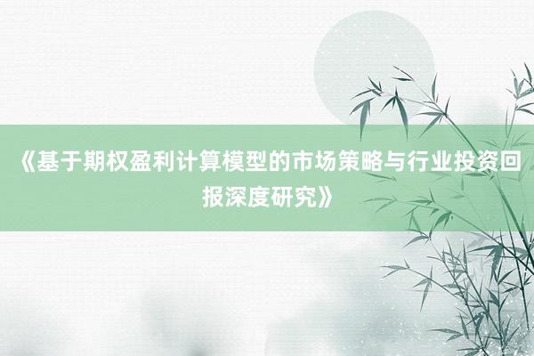 《基于期权盈利计算模型的市场策略与行业投资回报深度研究》