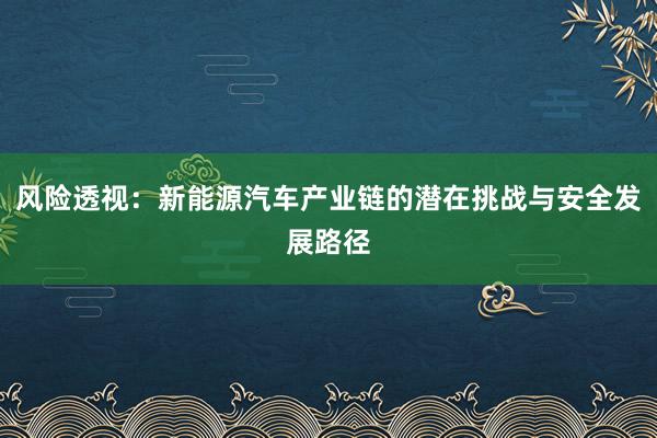 风险透视：新能源汽车产业链的潜在挑战与安全发展路径