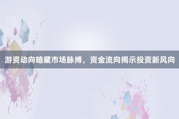 游资动向暗藏市场脉搏，资金流向揭示投资新风向