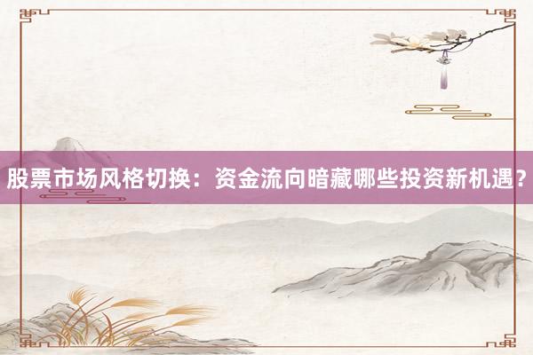 股票市场风格切换：资金流向暗藏哪些投资新机遇？