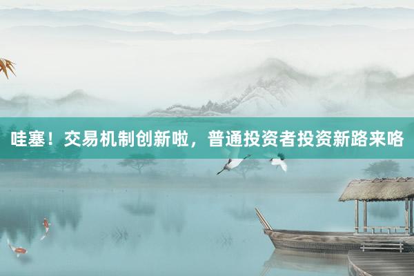 哇塞！交易机制创新啦，普通投资者投资新路来咯