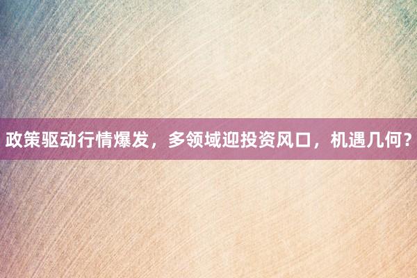 政策驱动行情爆发，多领域迎投资风口，机遇几何？